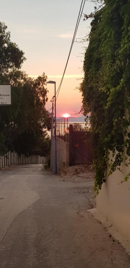 B&B Le Dune Beach San Leone Zewnętrze zdjęcie